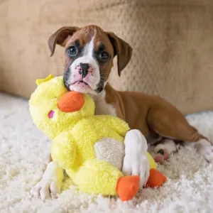 [10% OFF] ZippyPaws Cheeky Chumz Duck Dog Toy