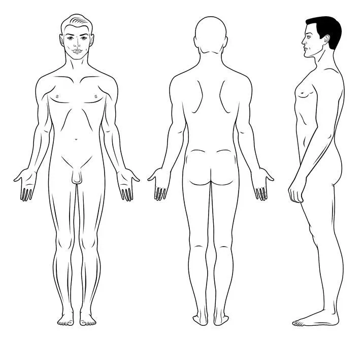 12 CE Hour Sports & Neuromuscular Therapy Basics (Computer-Based Live Interactive Webinar)