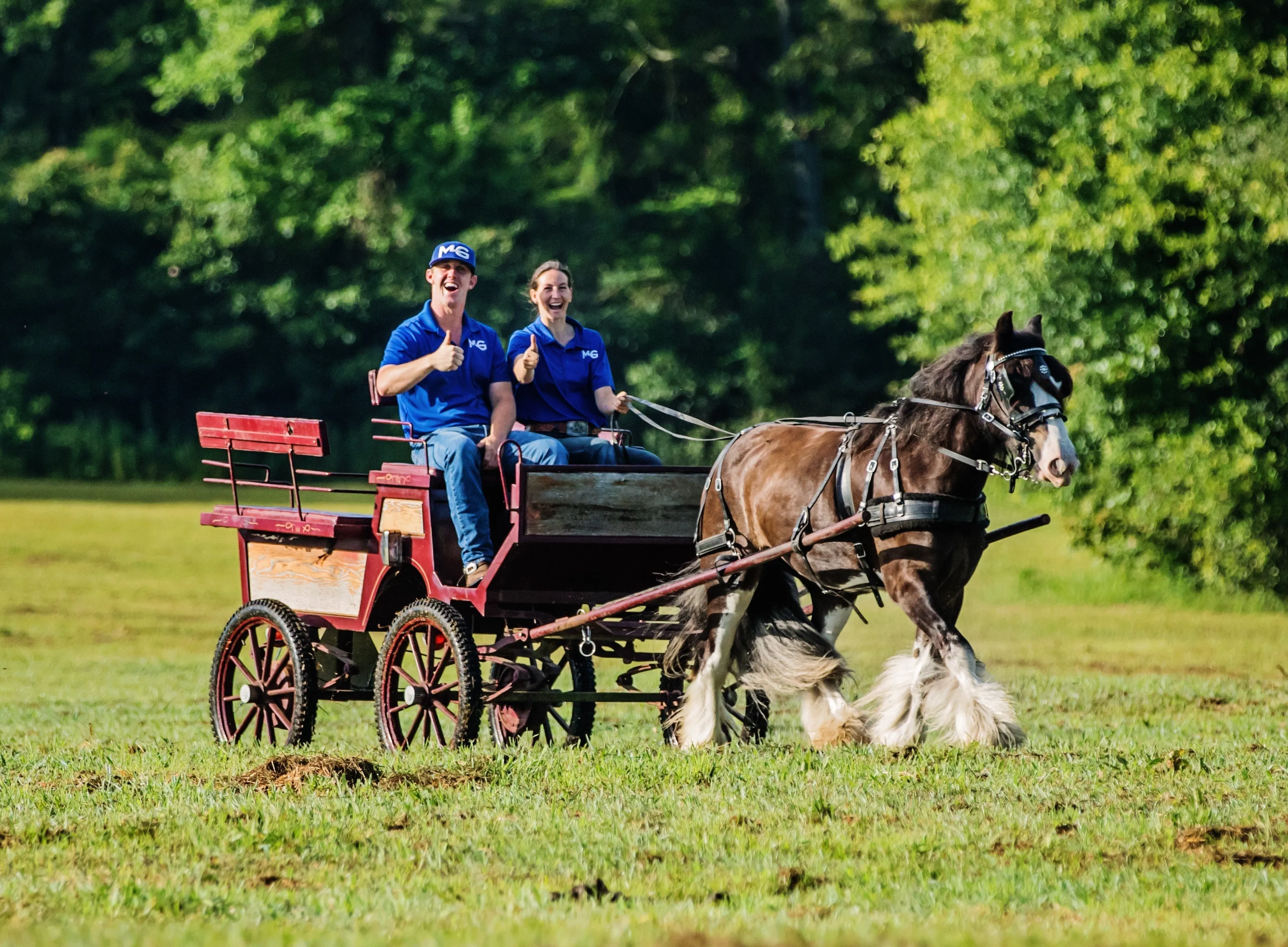 All-Inclusive Retreat For 2 PLUS 30 Days Of Horse Training For 2 Horses (Or 1 Horse For 60 Days)!!