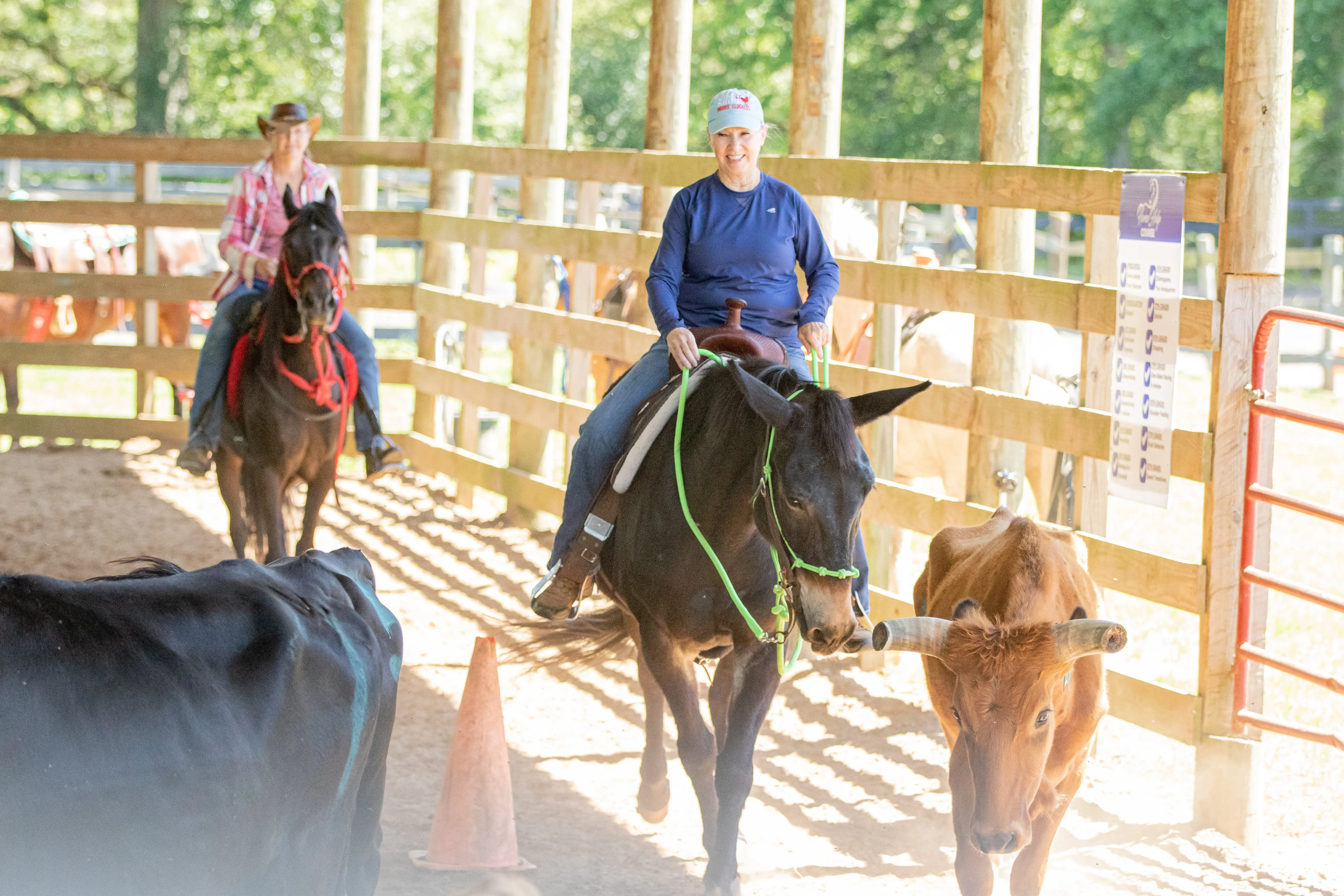 All-Inclusive Retreat For 2 PLUS 30 Days Of Horse Training For 2 Horses (Or 1 Horse For 60 Days)!!