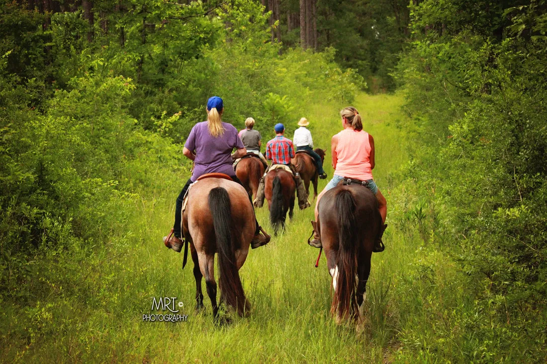 All-Inclusive Retreat For 2 PLUS 30 Days Of Horse Training For 2 Horses (Or 1 Horse For 60 Days)!!