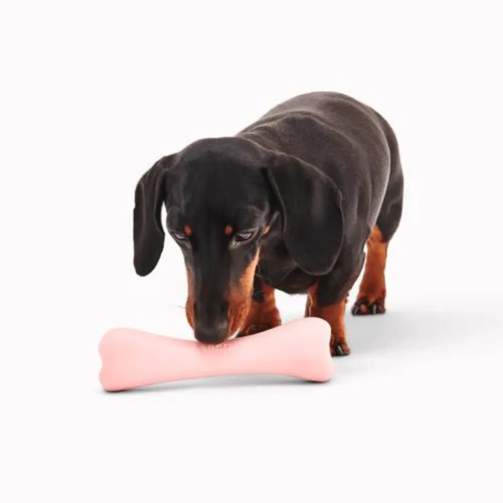 BeCo - Natural Rubber - Treat Bone