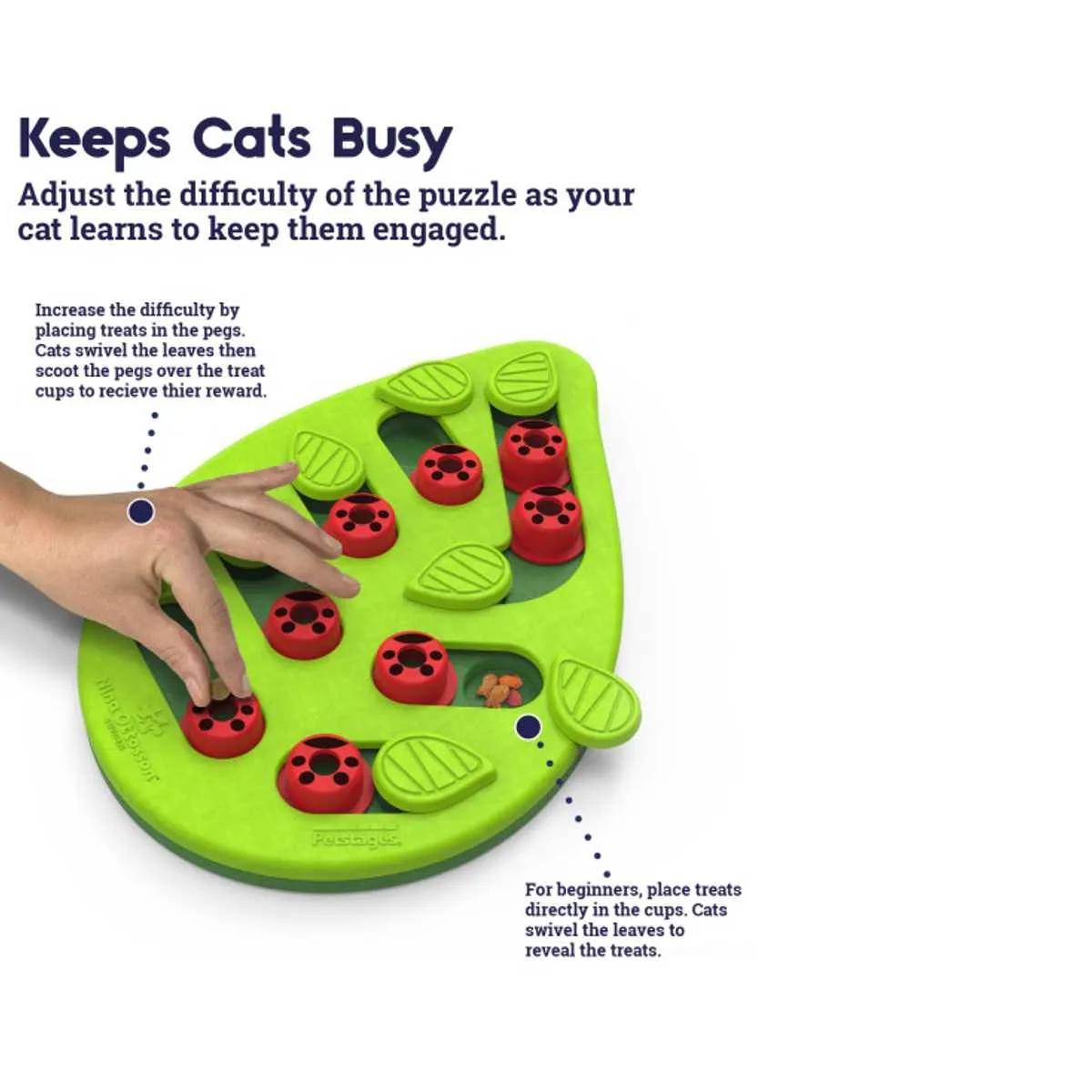 Buggin Out Puzzle & Play Cat Game