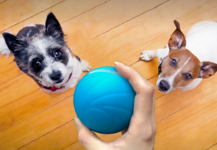 Cheerble Wickedball Automatic Interactive Dog Toy