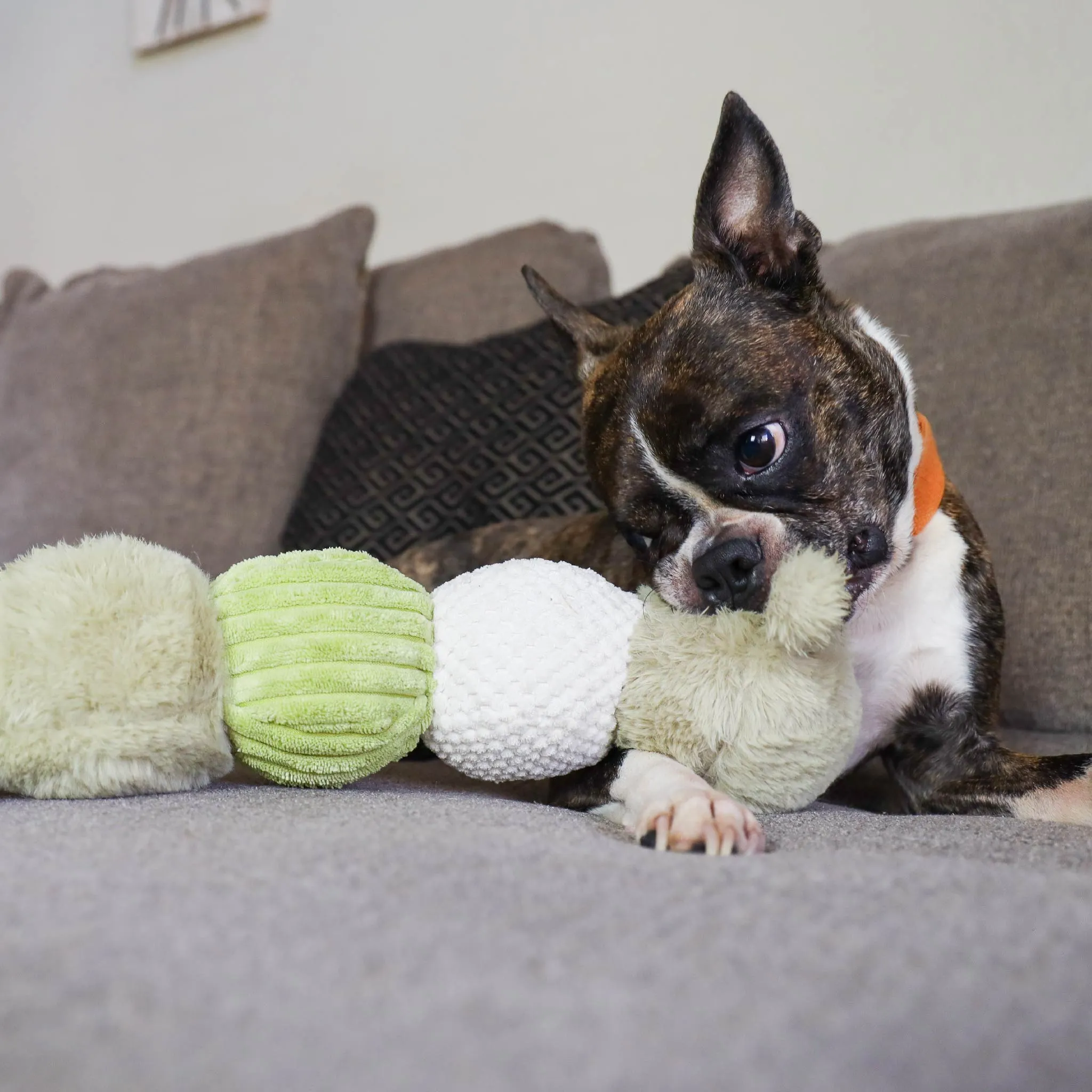 Craig the Tough Hemp Caterpillar Dog Toy: Durable Squeaky Balls, Crinkle Material for Interactive Play, Eco-Friendly Hemp Antennas, Reduces Boredom & Destructive Behavior