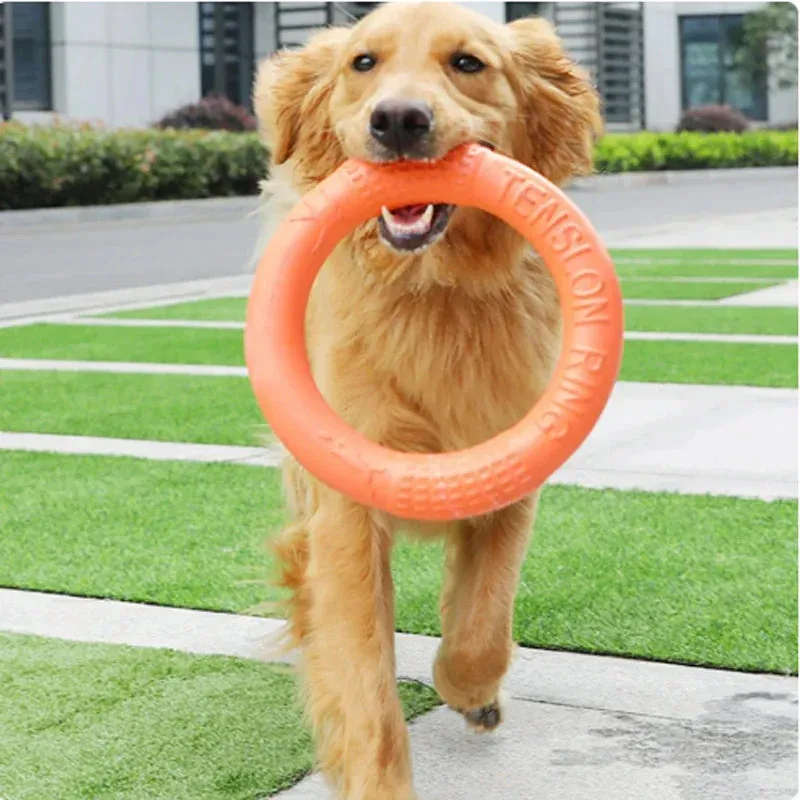 Durable Dog Chew Ring – Lightweight Fetch Toy for Active Play