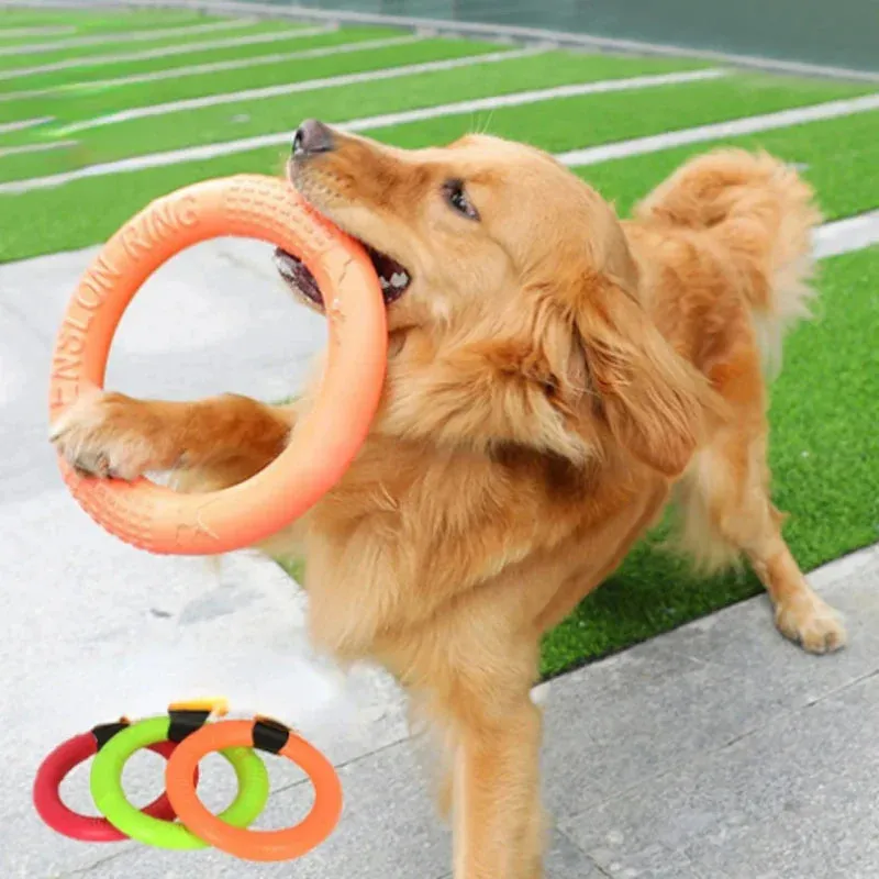 Durable Dog Chew Ring – Lightweight Fetch Toy for Active Play