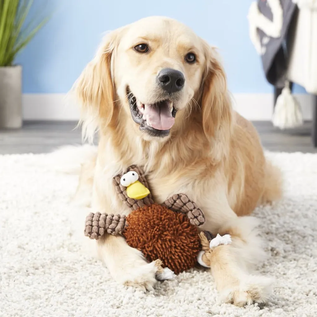 Ethical Giggler Plush Chicken Assorted Toy For Dog (12")