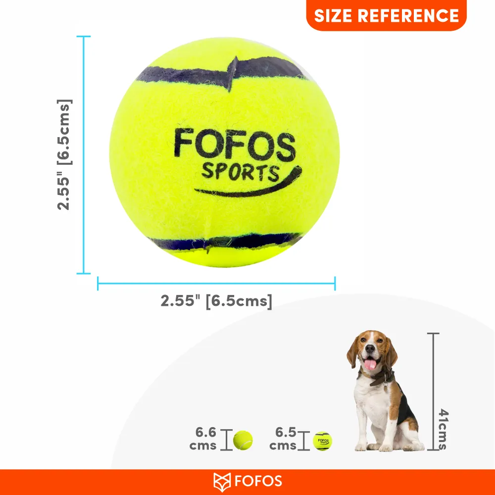 Fofos Sports Fetch Ball for Dogs