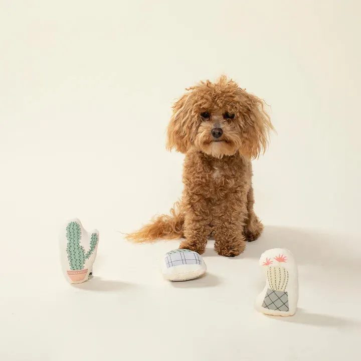 Fringe Dog Toy Cactus