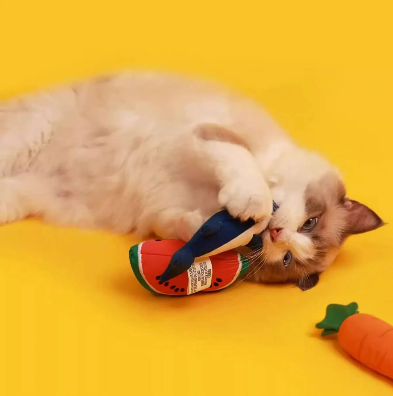 Fruits & Vegetables Cat Chew Catnip Toys Multi Choices