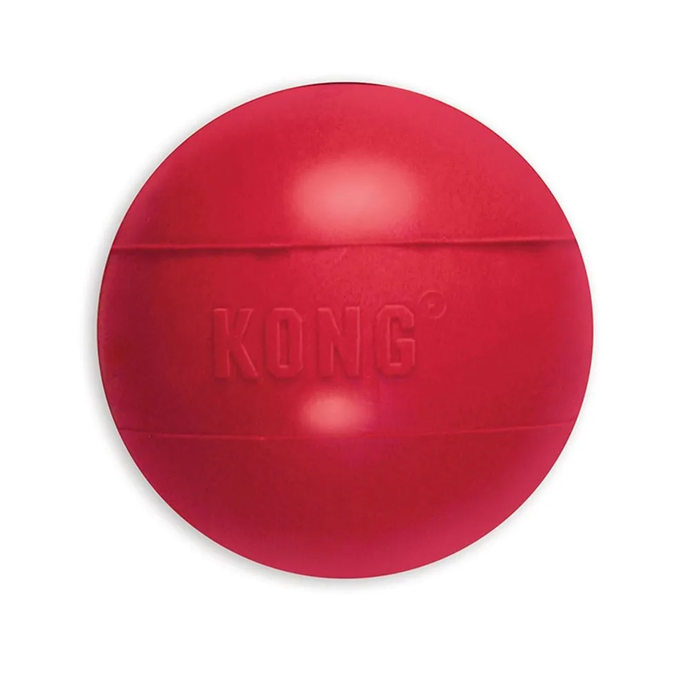 KONG Bouncy Ball for Fetch - Med/Large