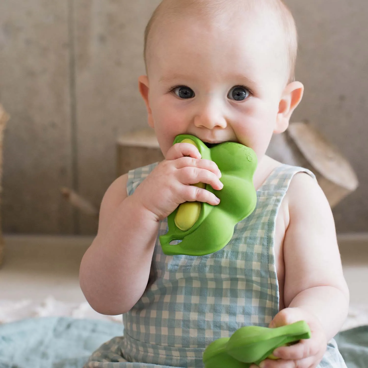 Newborn Gift Set 1 Mini Teether   2 Teethers