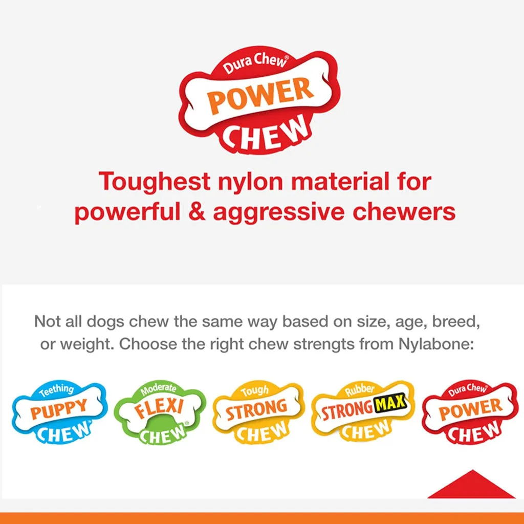 Nylabone Wishbone Dura Chew Power Chew Original Flavored Dog Toy