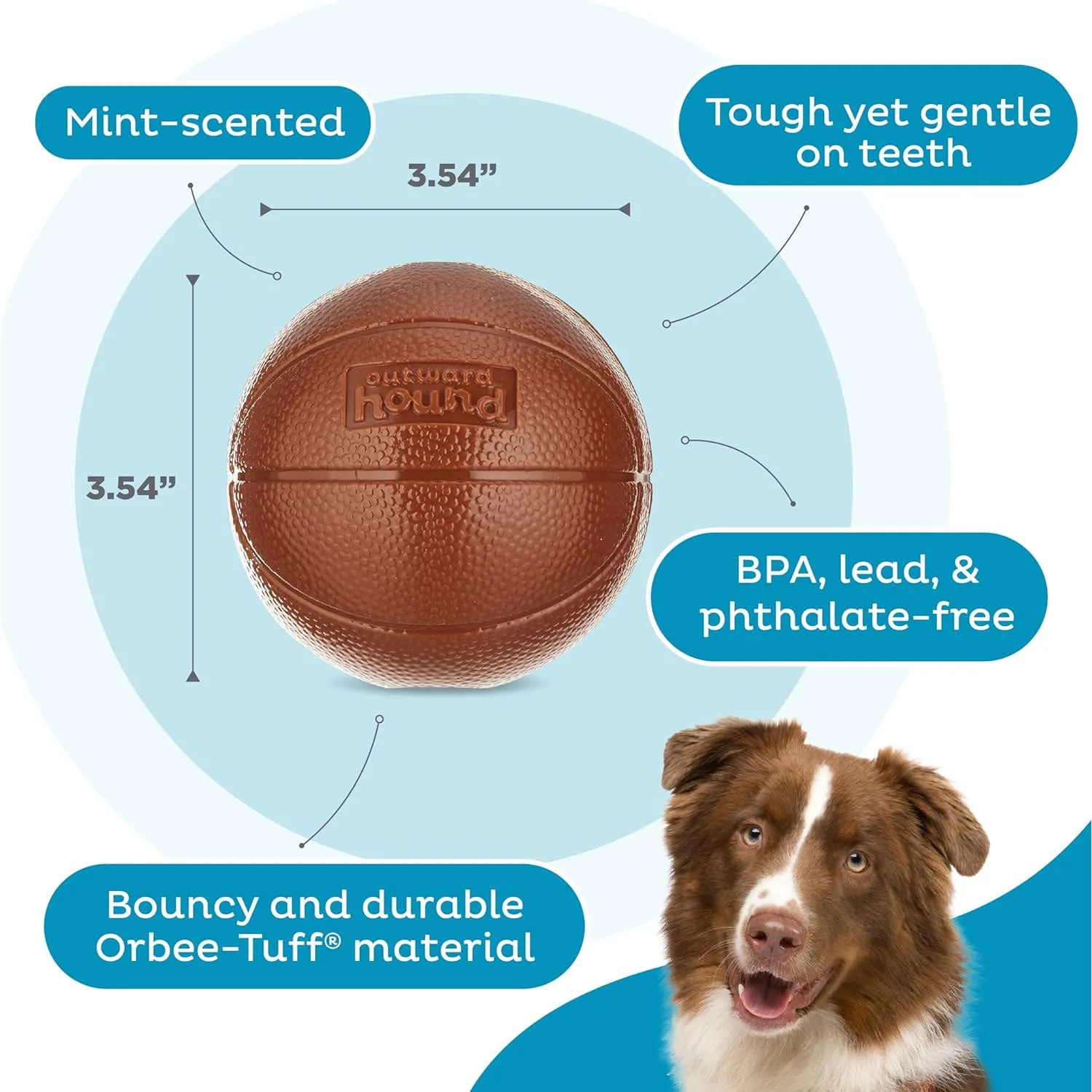 Outward Hound Orbee Tuff Basketball