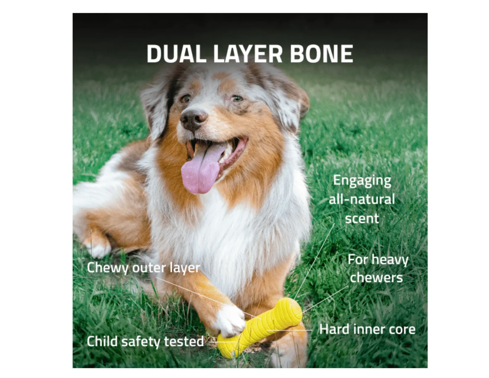 Playology Dual Layer Bone