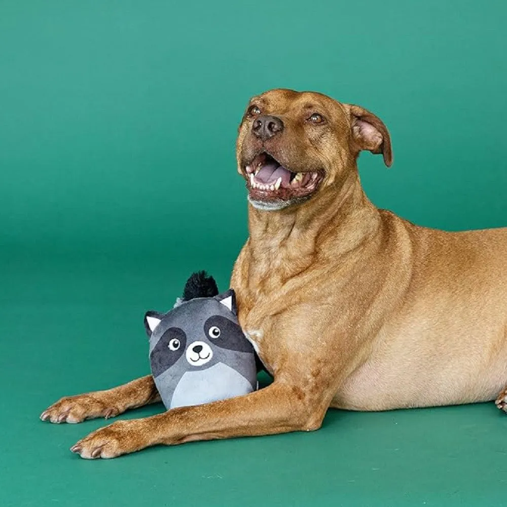 Rocky Raccoon Dog Plush Toy