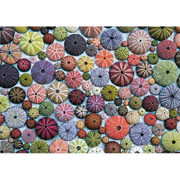 Sea Urchins 1000 Piece Puzzle - Quick Ship