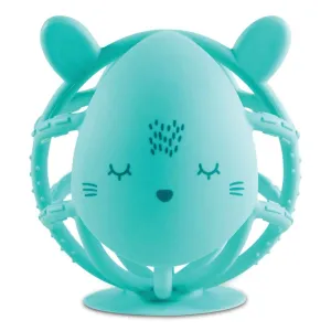 Silicone Teether Toy - Bunny