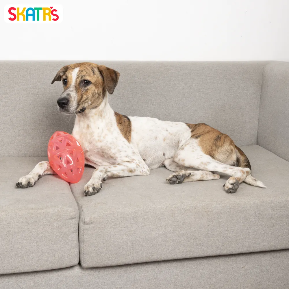 Skatrs Rugby Ball Toy for Dogs | Durable, Non-Toxic & Soft Chewing, Training & Bouncing Pet Toy