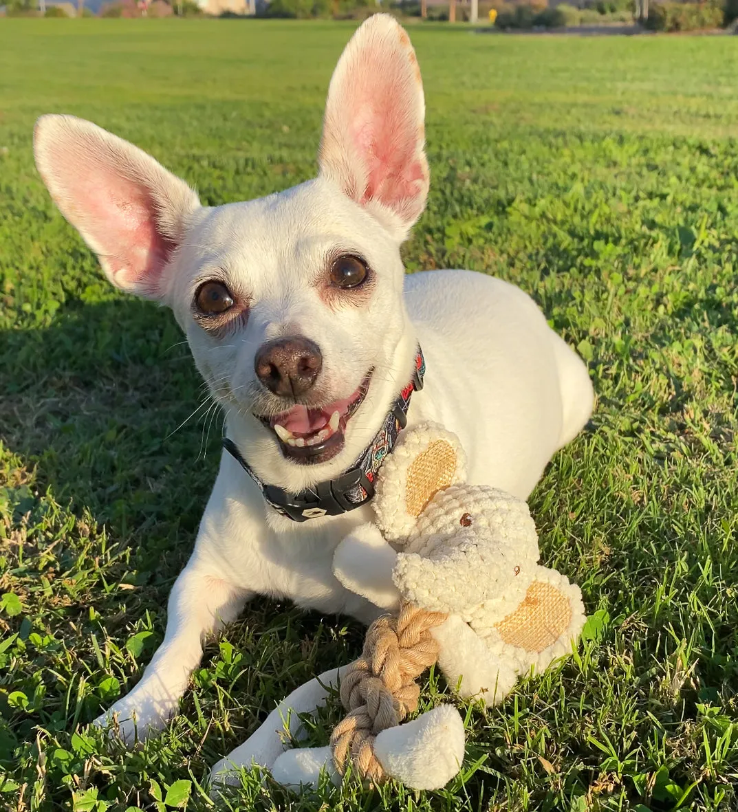 SOLD OUT - Mini Tough Hemp Monkey and Elephant Dog Toys