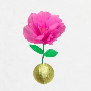 Surprize Ball Flower Bulb