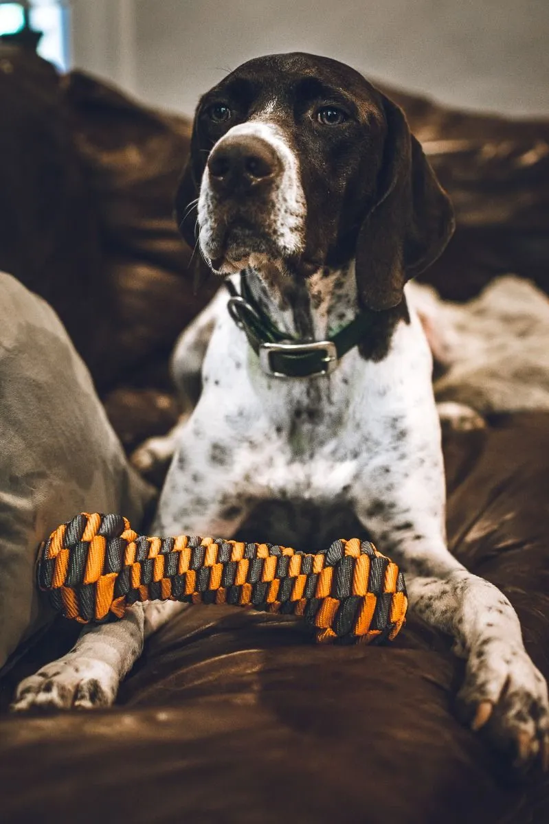 Tall Tails Dog Toy Braided Bone