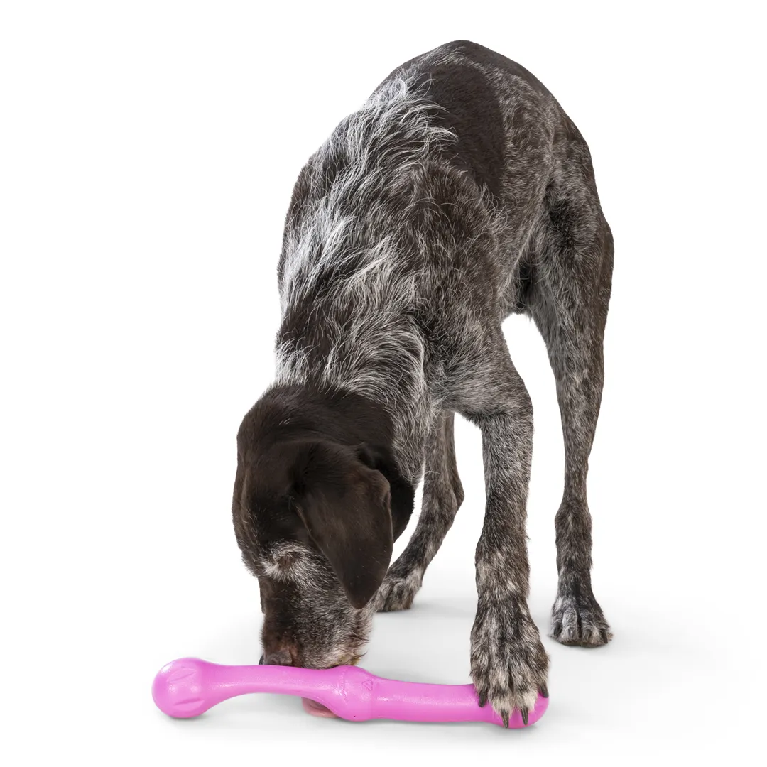 Toss and Fetch Dog toy, Zogoflex Echo Zwig (New Colours)