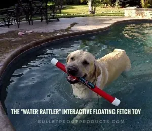 Water Rattler - Interactive Floating Fetch Toy 18"